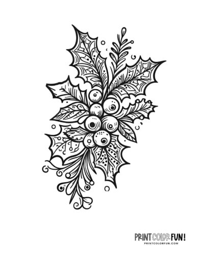 Holly clipart coloring pages for festive christmas crafting fun at