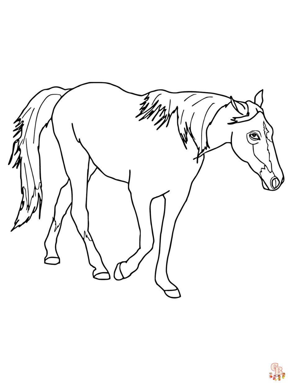 Discover the best horse coloring pages