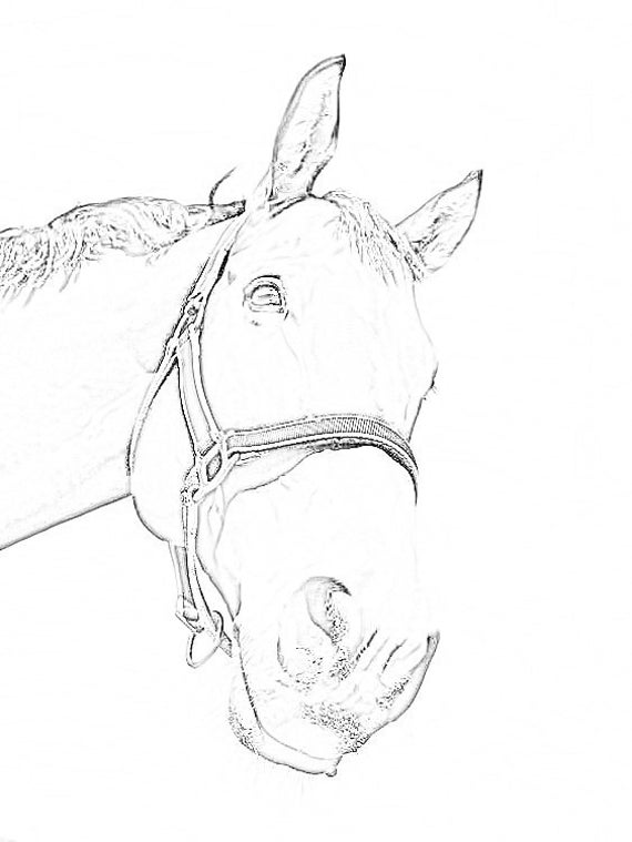 Horse says hello coloring page