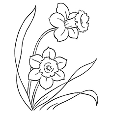 Top free printable flowers coloring pages online