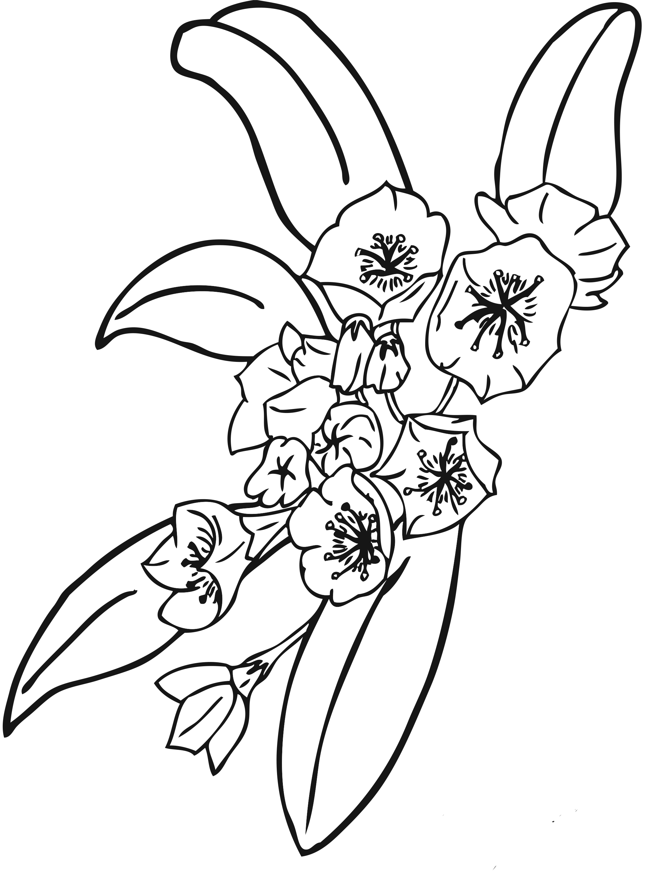 Free printable flower coloring pages for kids