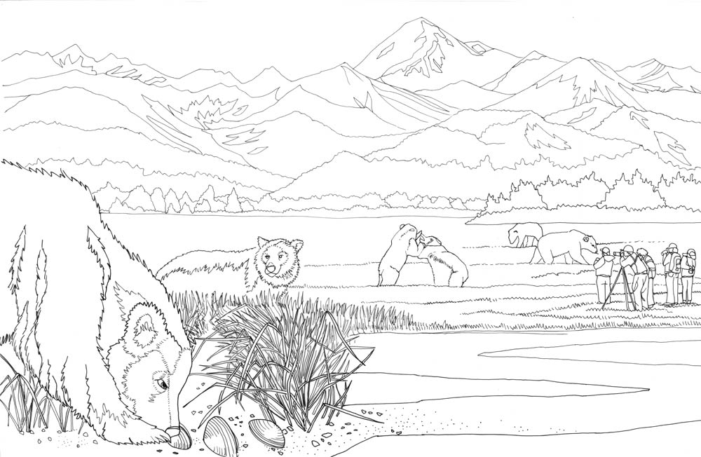 Lake clark national park coloring book â kristin link