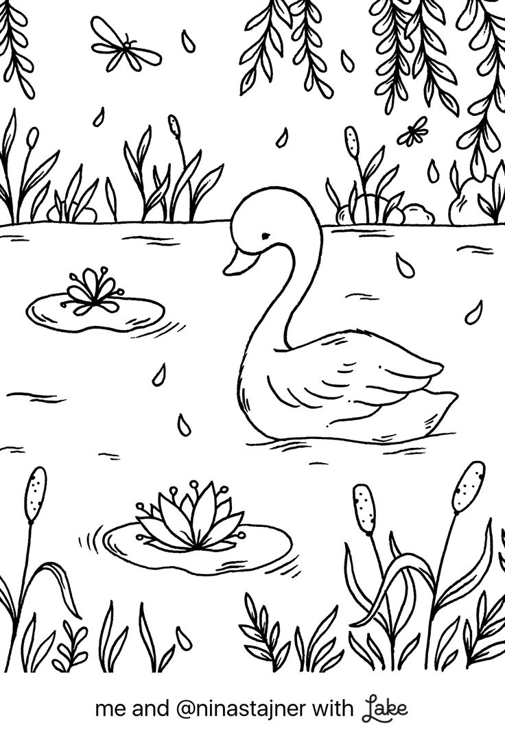 Coloring page from lake coloring app coloring pages lake animals animal coloring pages