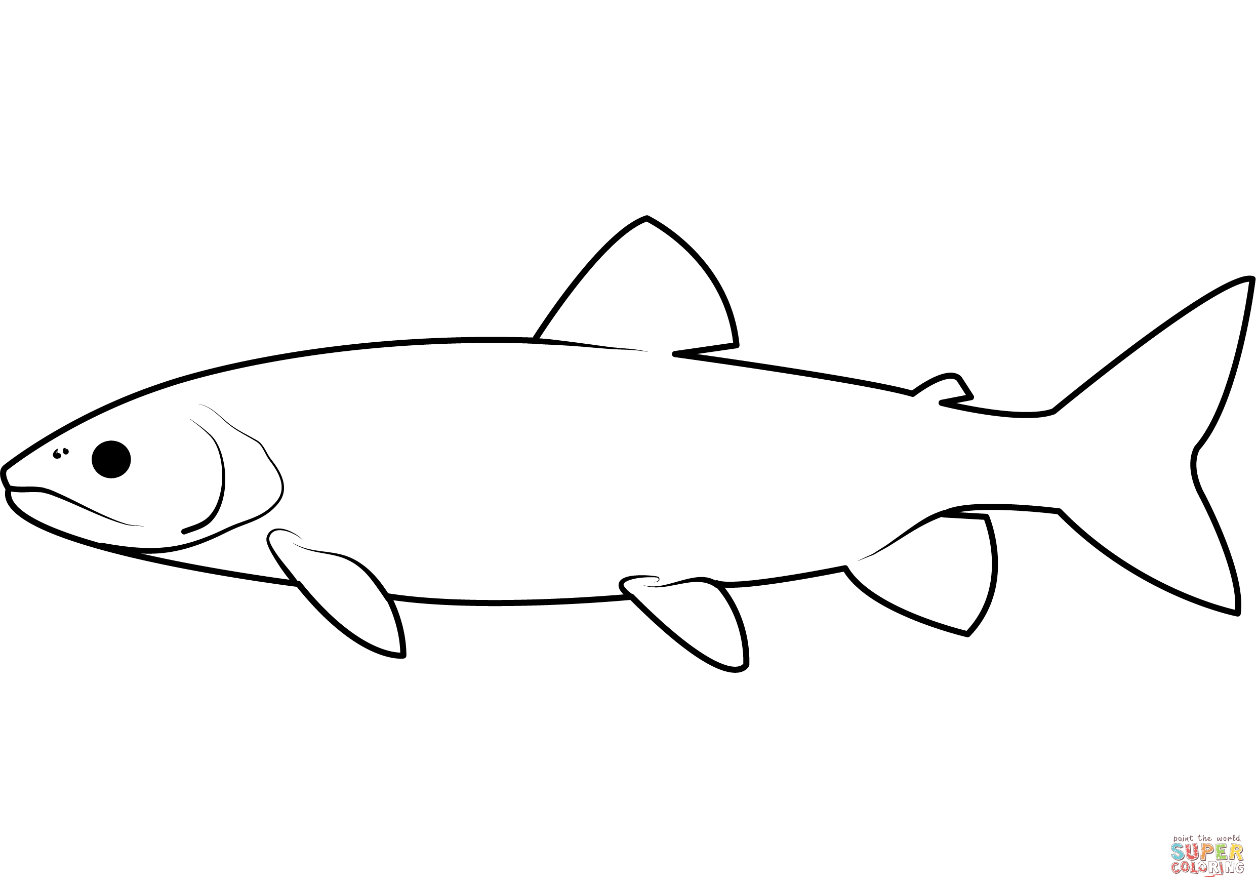 Lake trout salvelinus namaycush coloring page free printable coloring pages