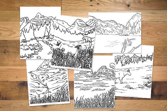 Color glacier national park coloring pages â corvidae drawings designs