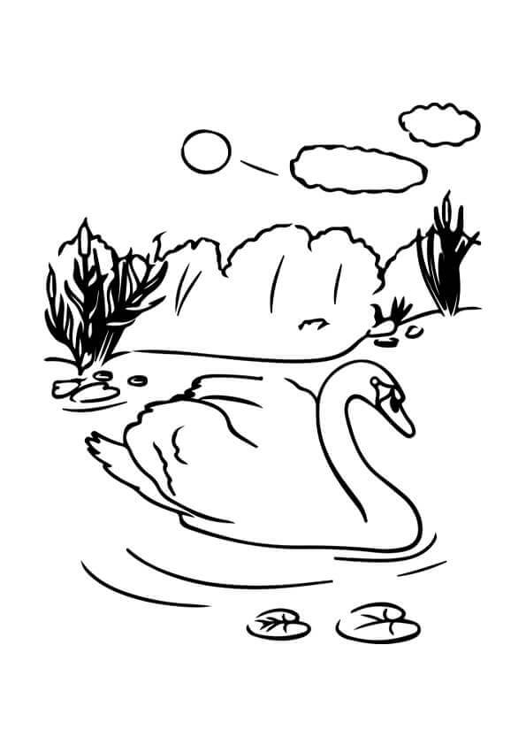 Very simple swan coloring page
