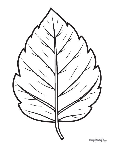 Printable leaf coloring pages â sheets