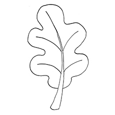 Top free printable leaf coloring pages online