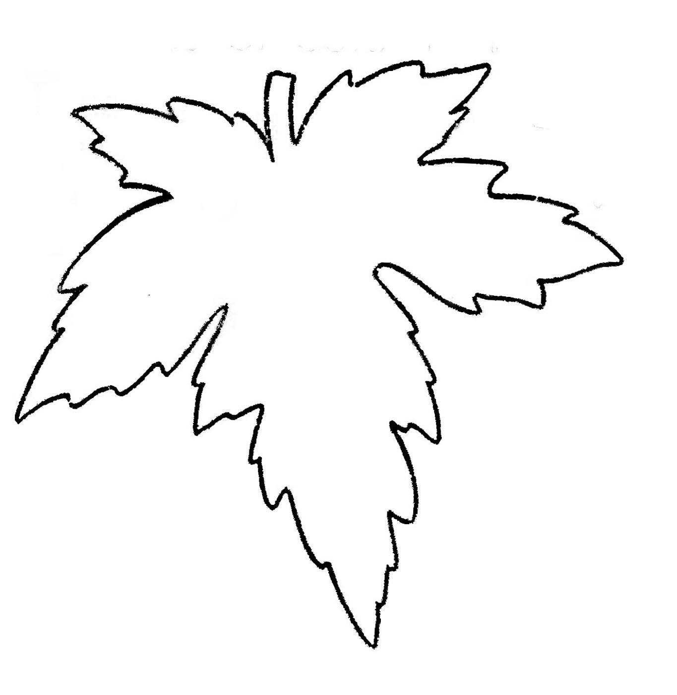 Leaf coloring pages for preschool activity shelter