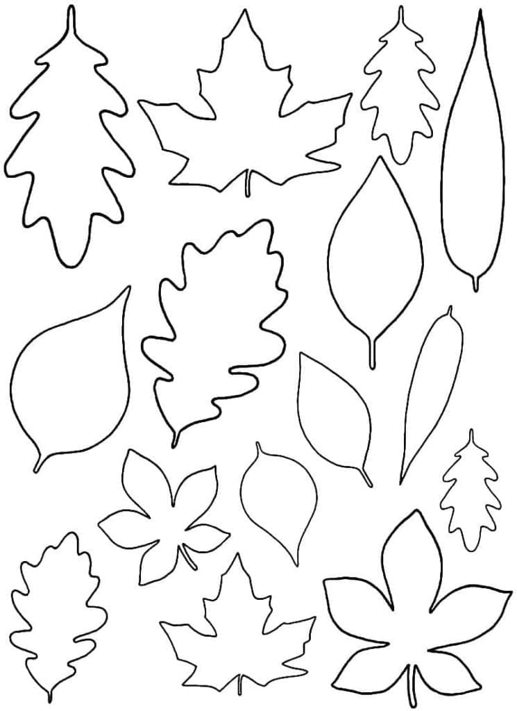 Very simple autumn leaves coloring page