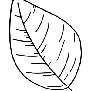 Leaves coloring pages printable for free download