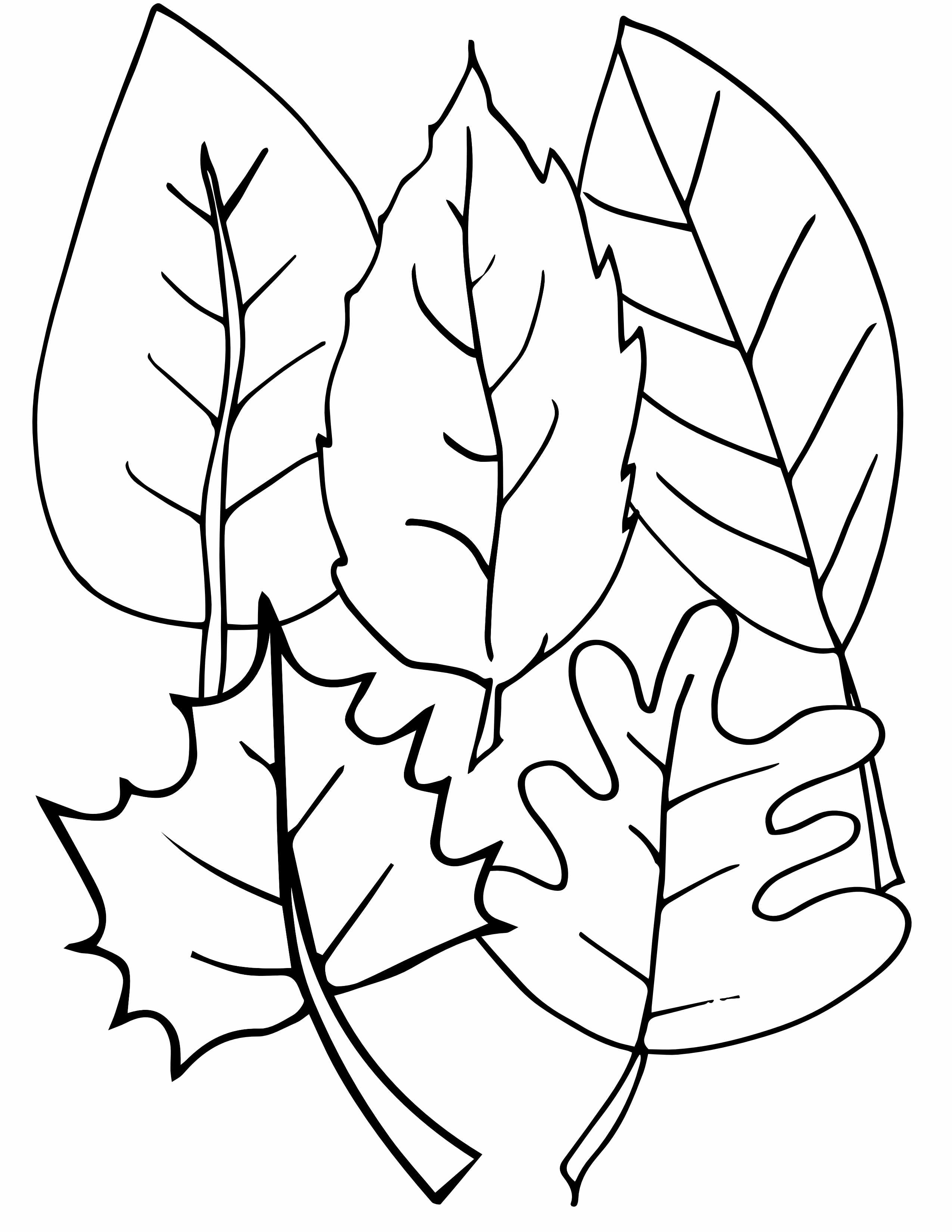 Free fall leaves coloring page â stevie doodles