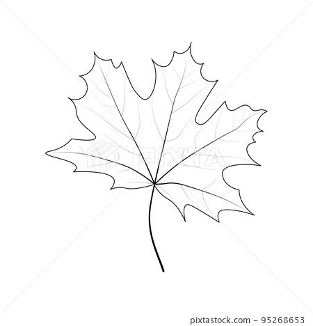 Single simple marple leaf outline coloring