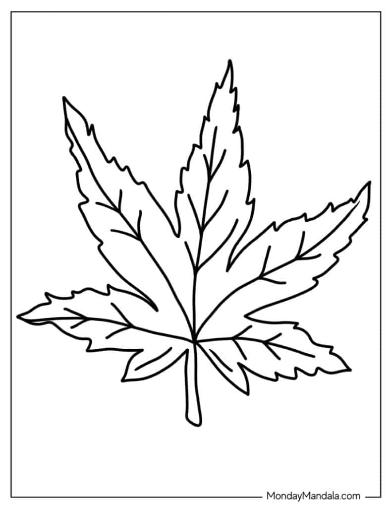 Leaf coloring pages free pdf printables