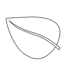 Top free printable leaf coloring pages online