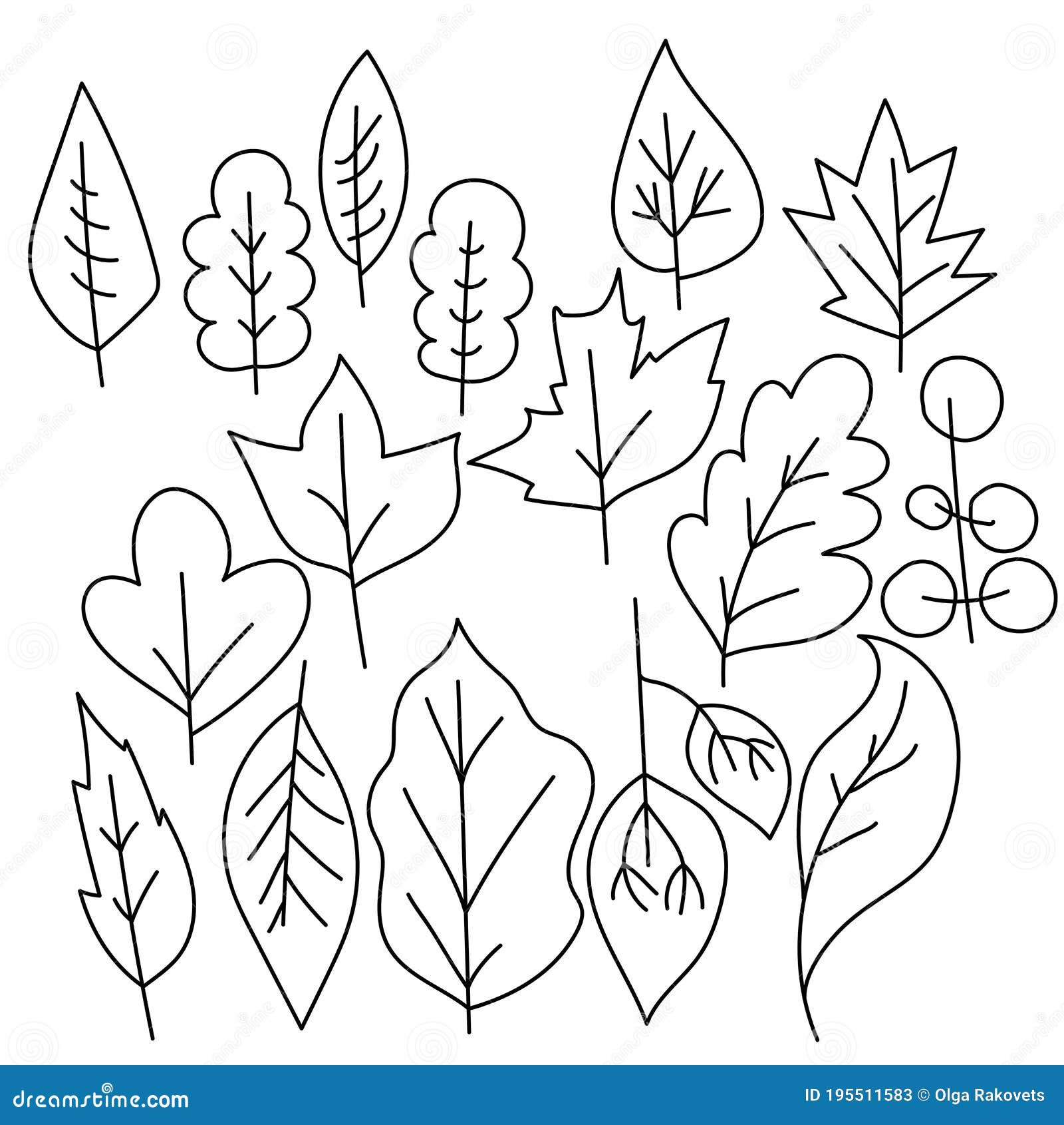 Set of doodle leaves with different trees simple image of a leaf stock vector