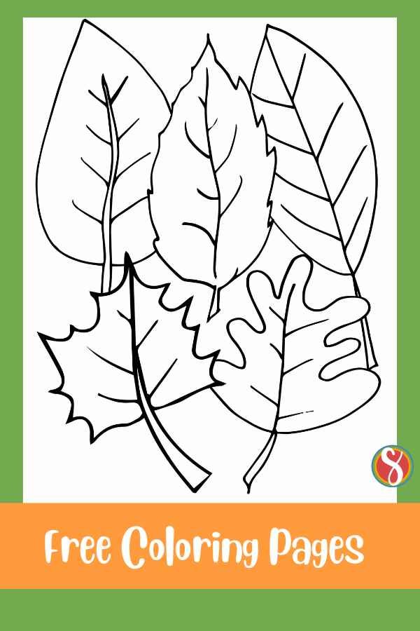 Free fall leaves coloring page â stevie doodles