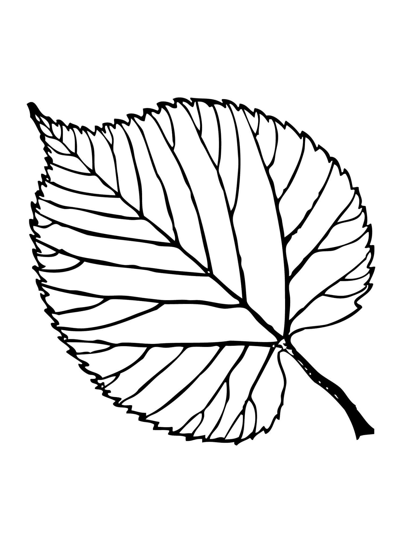 Leaf coloring pages printable activity shelter