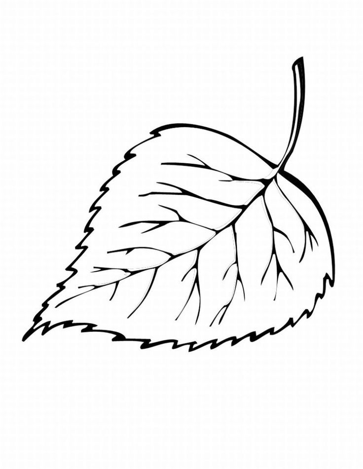 Simple leaf colouring pages