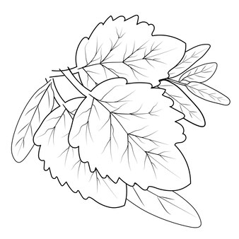 Page leaves coloring page images