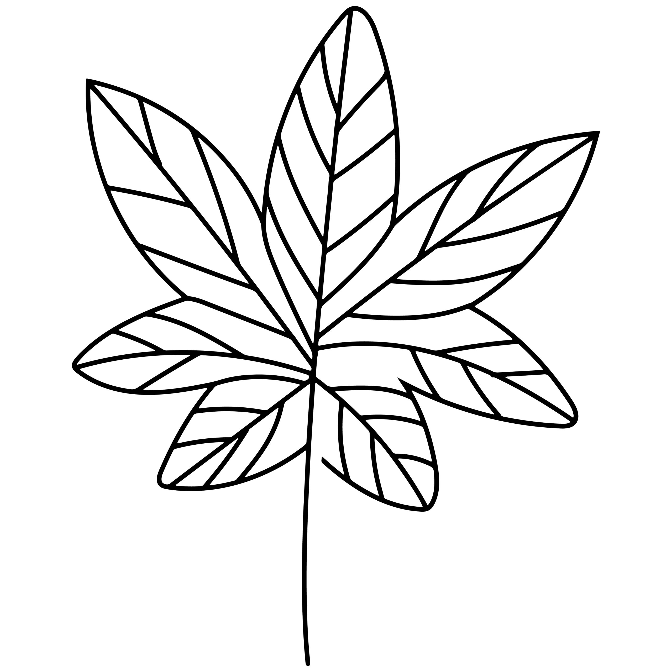 Fall leaves coloring book leaves autumn coloring pages made by teachers