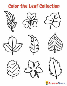 Coloring page for kids color the fall leaves collection