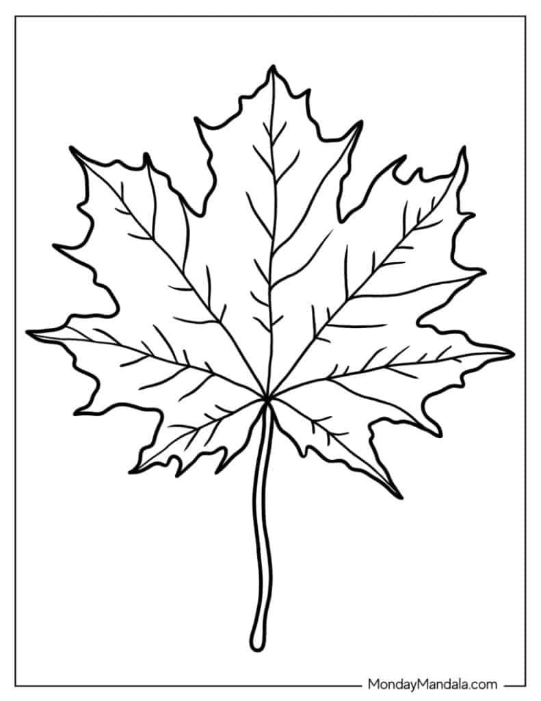 Leaf coloring pages free pdf printables