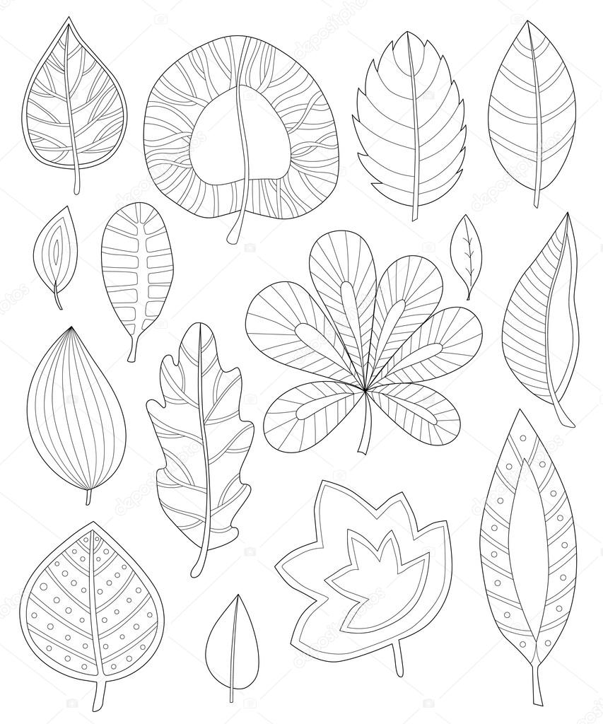 Leaves coloring for adults stock vector by inshna