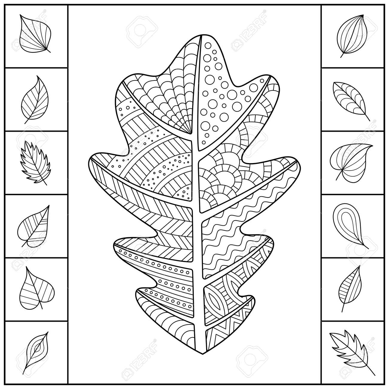 Uncolored patterned oak leaf and different simple leaves design of page for coloring book set of black and white isolated objects royalty free svg cliparts vectors and stock illustration image