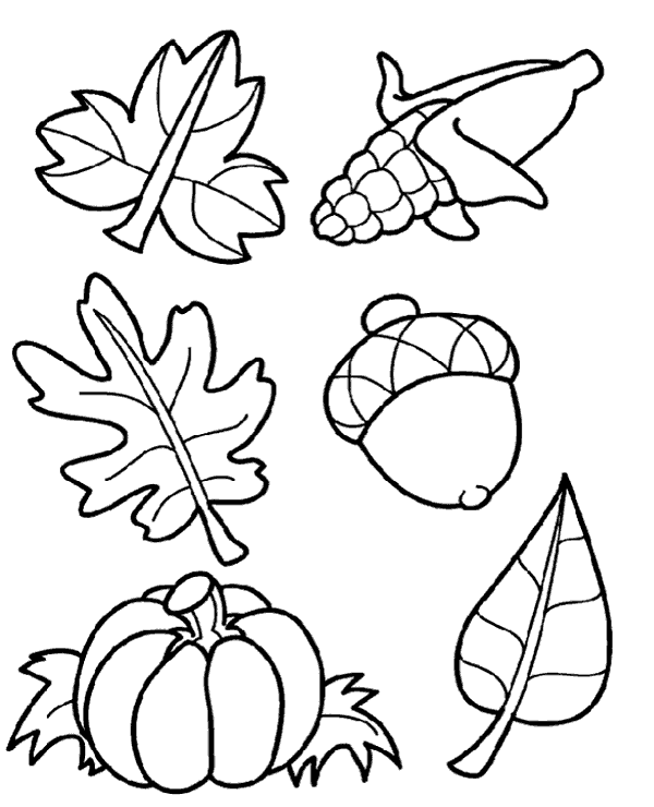 Coloring page showing autumn symbols