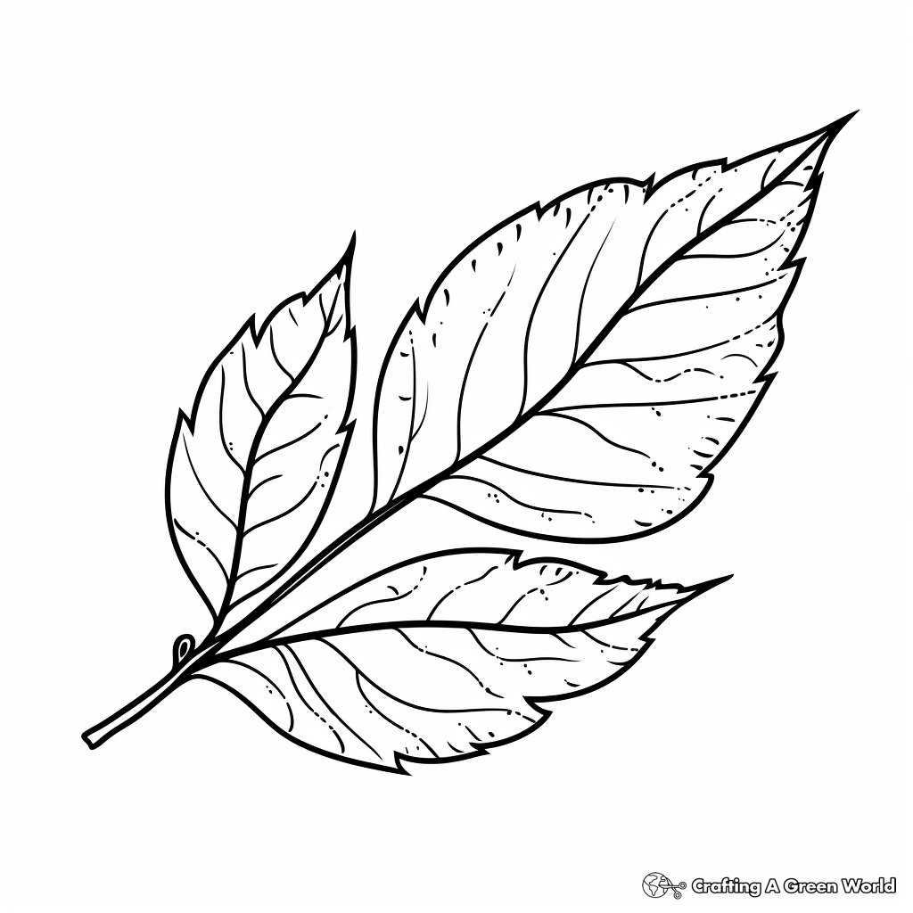 Fall leaves coloring pages