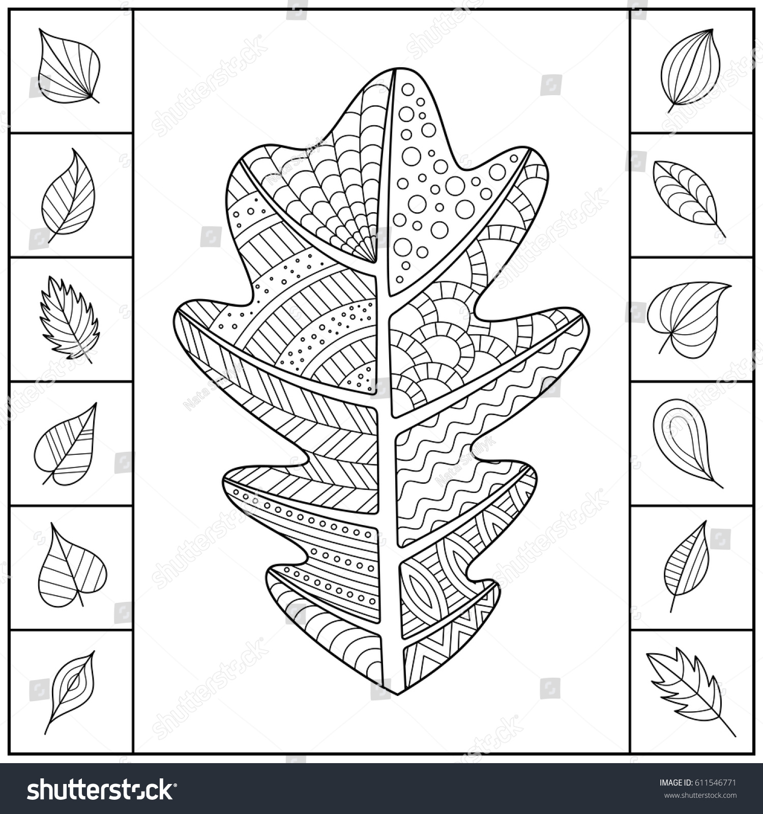 Uncolored patterned oak leaf different simple stock vector royalty free