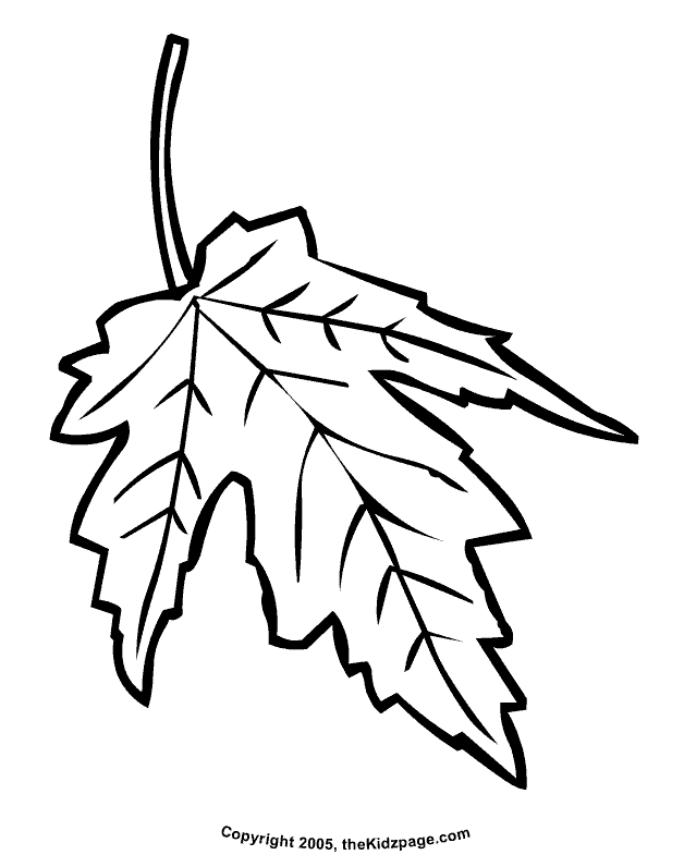 Maple leaf coloring pages printable for free download