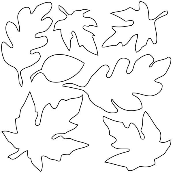 Various type of maple leaf coloring page fall coloring pages leaf coloring page fall leaves coloring pages