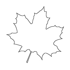 Top free printable leaf coloring pages online