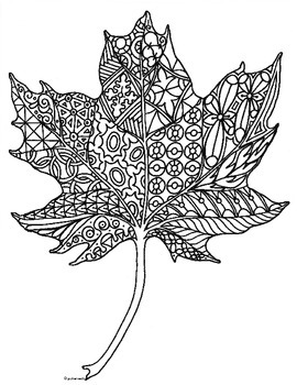 Maple leaf colouring page tpt