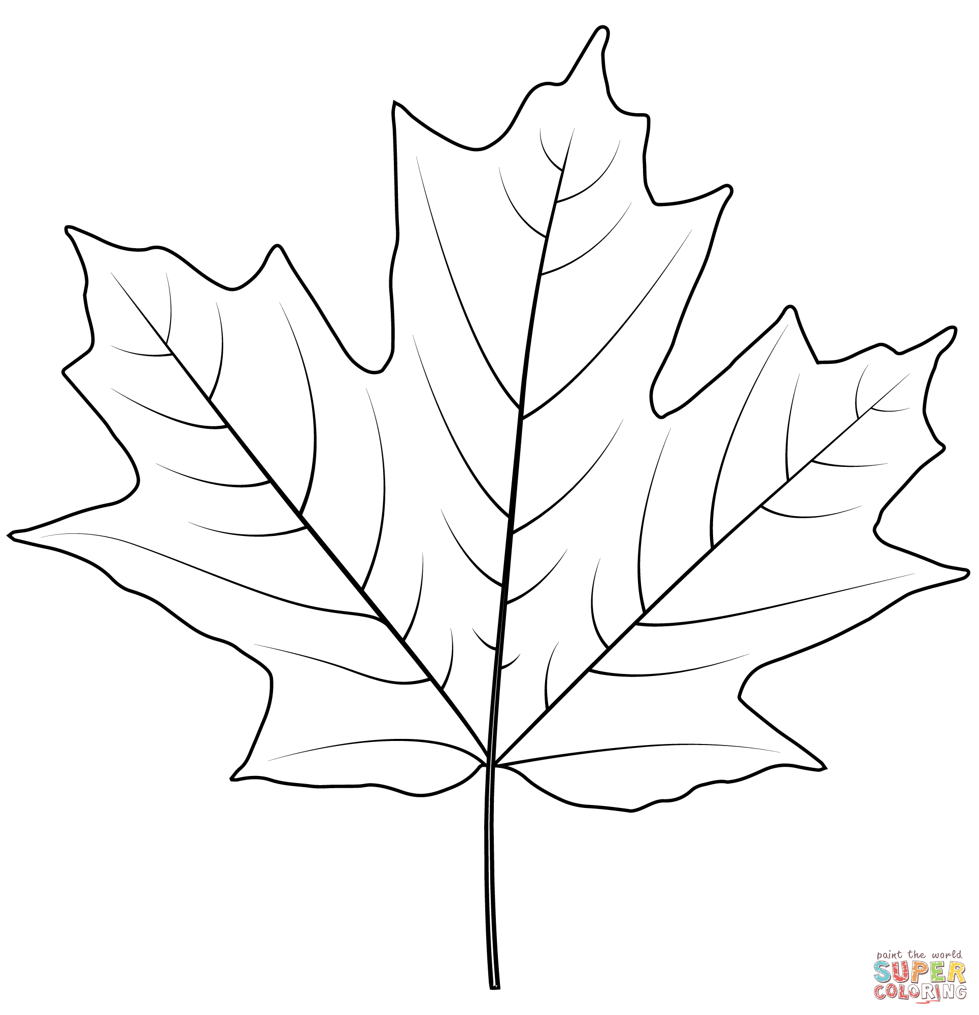 Sugar maple leaf coloring page free printable coloring pages