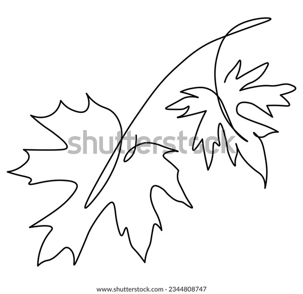 Maple leaf outline images stock photos d objects vectors