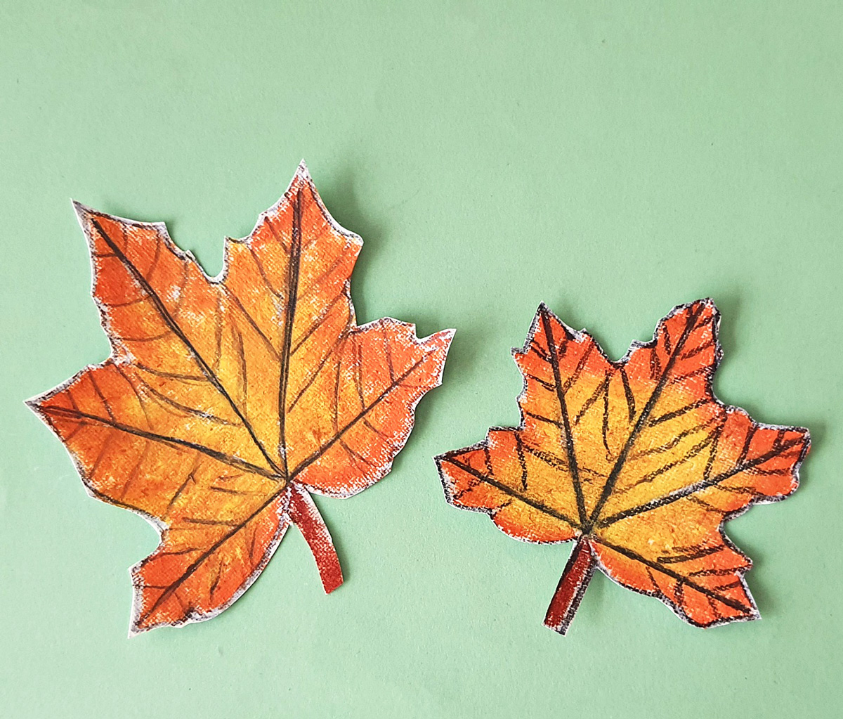 How to draw a simple maple leaf moms and crafters