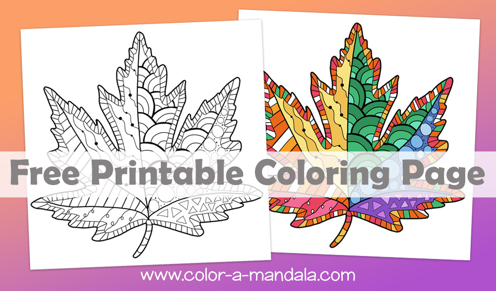 Maple leaf zen doodle coloring page m