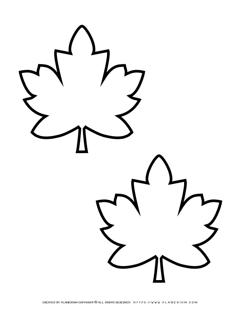 Maple leaves template