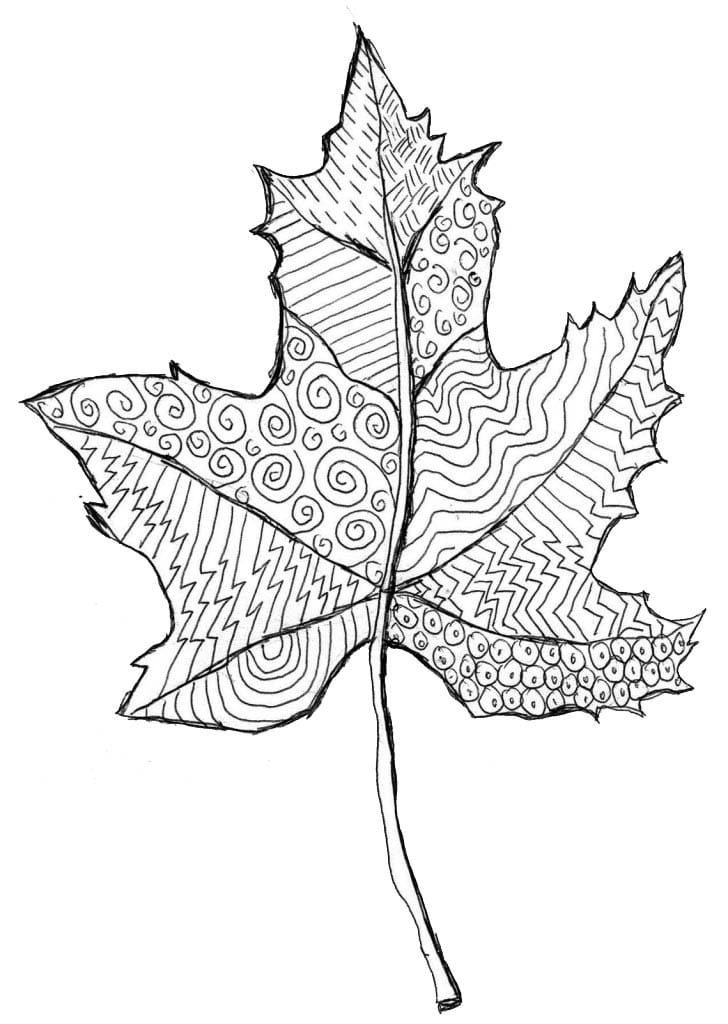 Easy zentangle leaf art project video and leaf coloring page