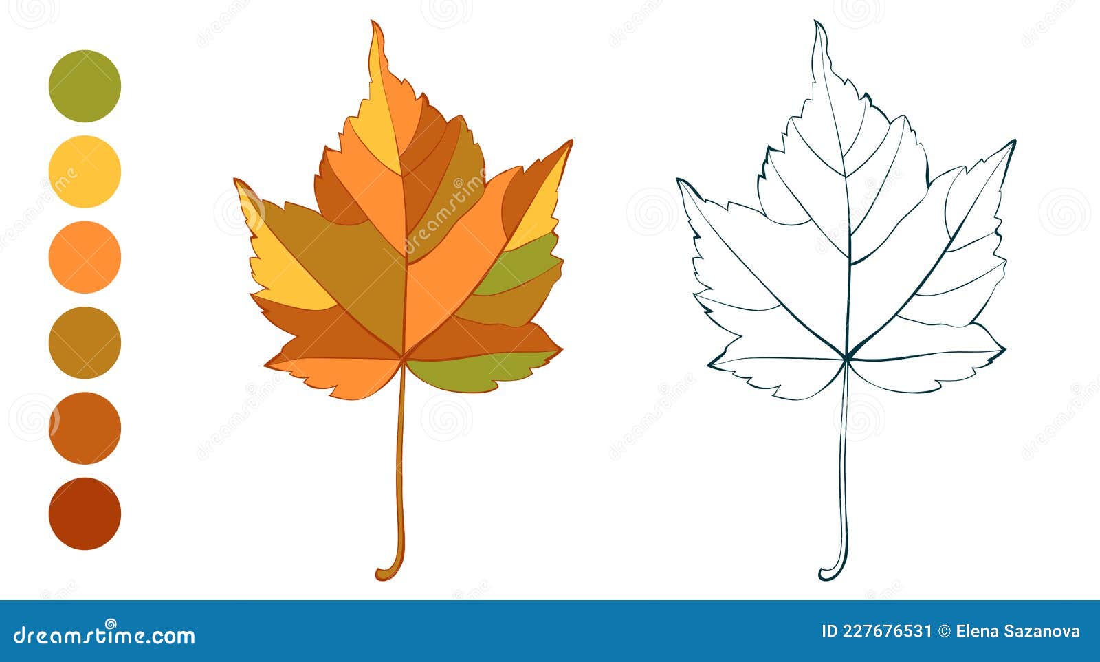 Coloring sheet with bright autumn maple leaf stock vector