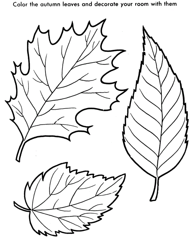 Free printable leaf coloring pages for kids