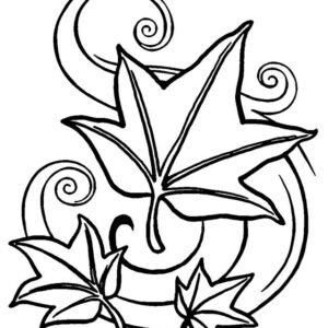 Maple leaf coloring pages printable for free download