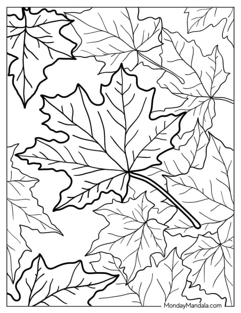 Leaf coloring pages free pdf printables