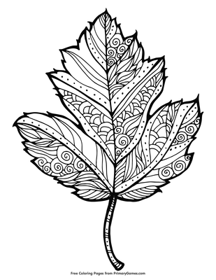 Maple leaf coloring page â free printable pdf from