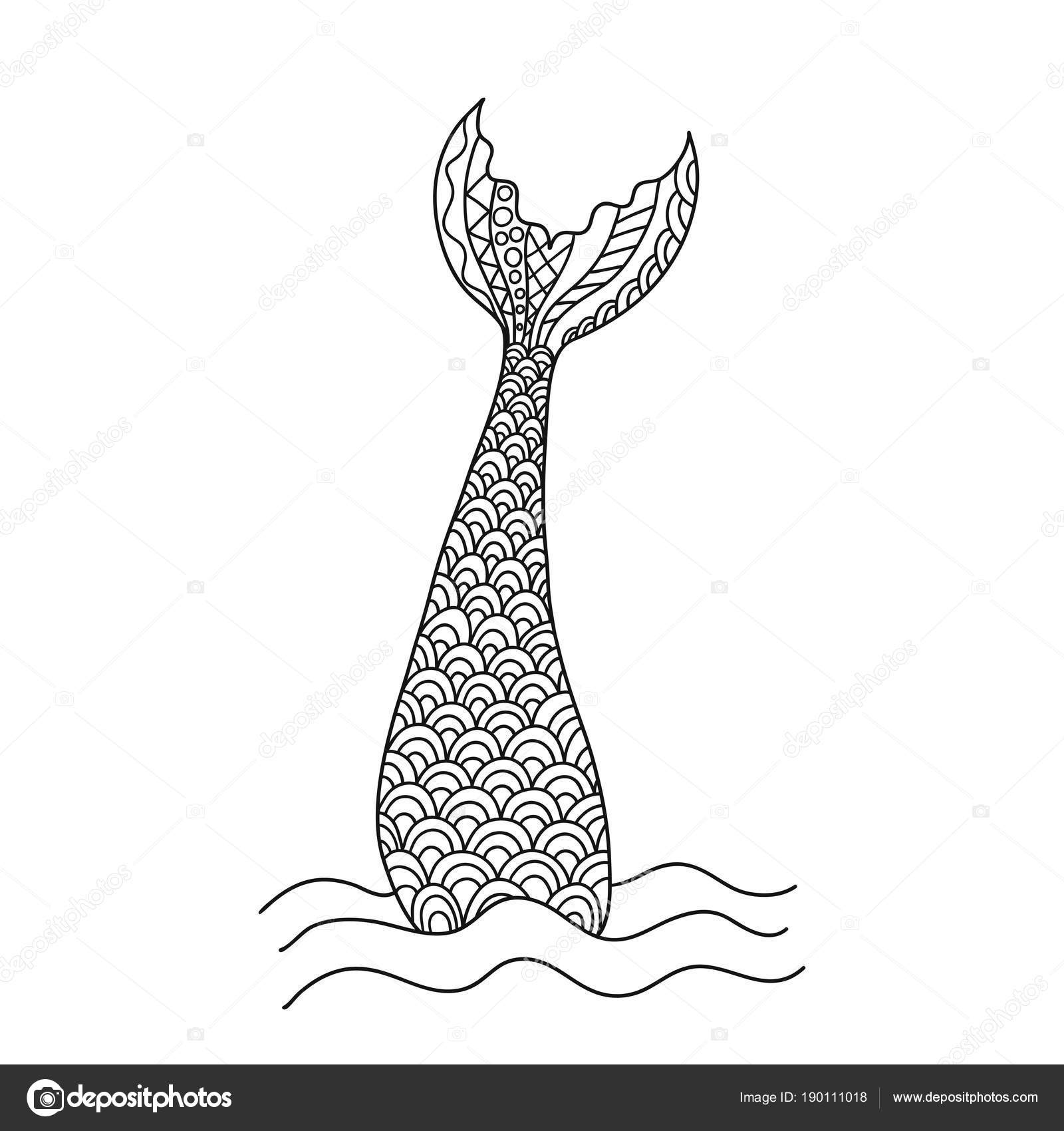 Hand drawn ornamental mermaids tail vector illustration stock vector by maroshka