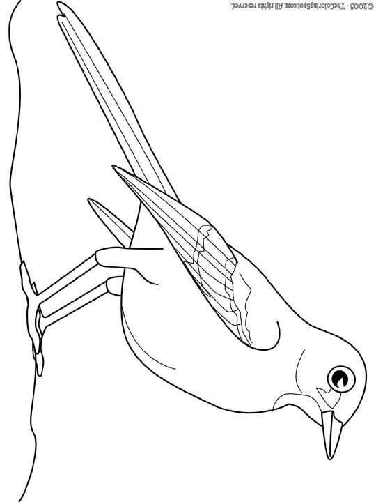 Mockingbird coloring page audio stories for kids free coloring pages colouring printables