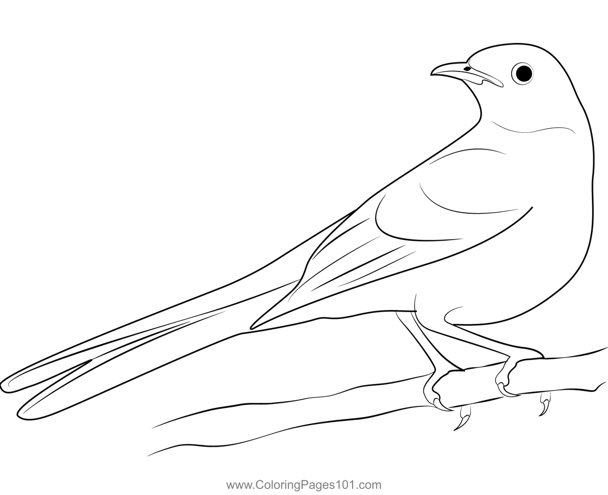 Mockingbird coloring page for kids